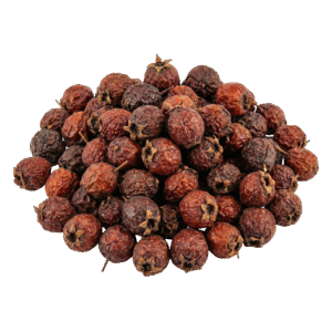 dried hawthorn berries bulk crataegus monogyna